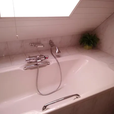 Dendolili * 암스테르담