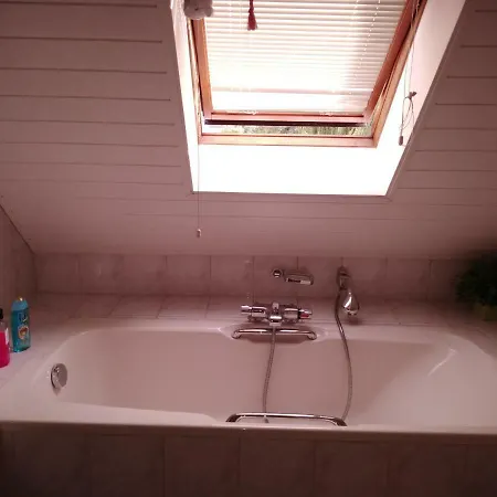 Dendolili Homestay Amsterdam