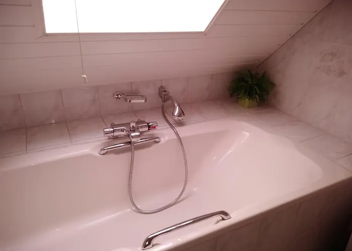 Dendolili * Amsterdam