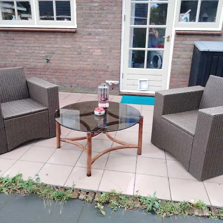 Dendolili * Amsterdam